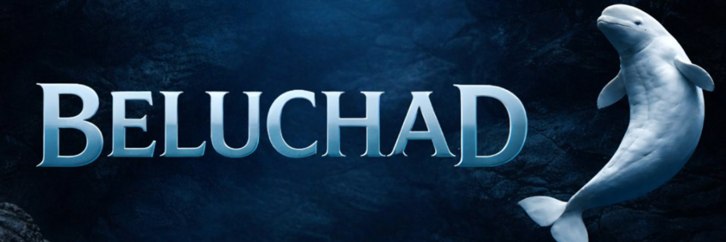 BELUCHAD Banner